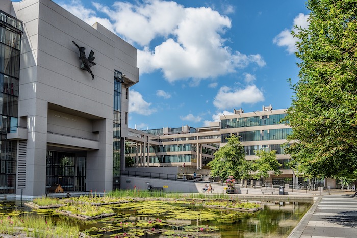 Pond outside Roger Stevens building